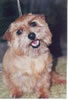 Brinkley